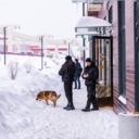 Продажа помещения с сетевыми арендаторами в ЖК Ильинские луга