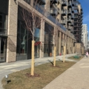 Аренда торгового помещения в ЖК "Примавера" 