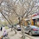 Продажа торгового помещения с арендатором в Люблино