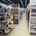 Продажа помещения с арендатором Четыре Лапы