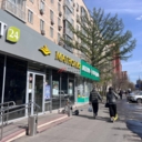 Продажа помещения c Магнолией