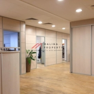 Аренда особняка в центре Москвы	