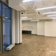 Аренда офиса в особняке на ул. Воздвиженка