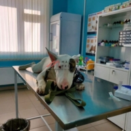 Продажа торгового помещения