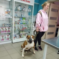 Продажа торгового помещения