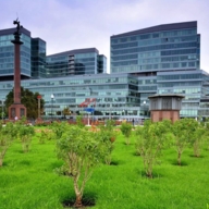 Аренда офиса в БЦ Легенда Цветного