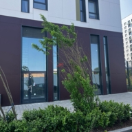 Аренда помещения в ЖК "Green park"