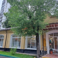 Продажа торгового здания с Верным