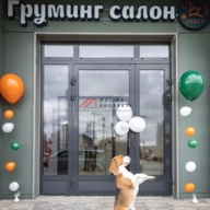 Продажа помещения с арендатором в ЖК Некрасовка