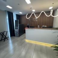 Продажа особняка с арендатором 