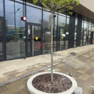 Аренда торгового помещения в ЖК Foriver