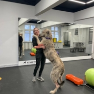 Продажа нежилого помещения с арендаторами на Варшавском шоссе