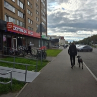 Продажа торгового помещения с арендатором Магнит