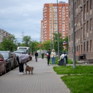 Продажа помещения с аптекой "Неофарм" в ЖК  Новоград Павлино