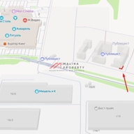 Продажа торгового помещения с магазином Дикси