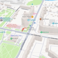 Продажа торгового помещения с арендатором Четыре лапы