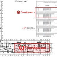 Продажа помещения с супермаркетом Пятёрочка