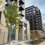 Аренда торгового помещения в ЖК Примавера 