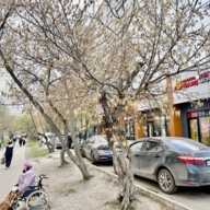 Продажа торгового помещения с арендатором в Люблино