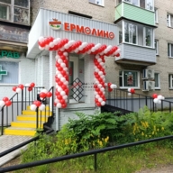 Продажа помещения с арендаторами в Черноголовке 