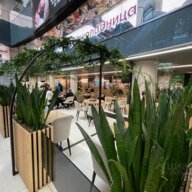 Аренда торгового помещения под ресторан в Башне Федерация